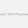 Ready? DNA Polymerase